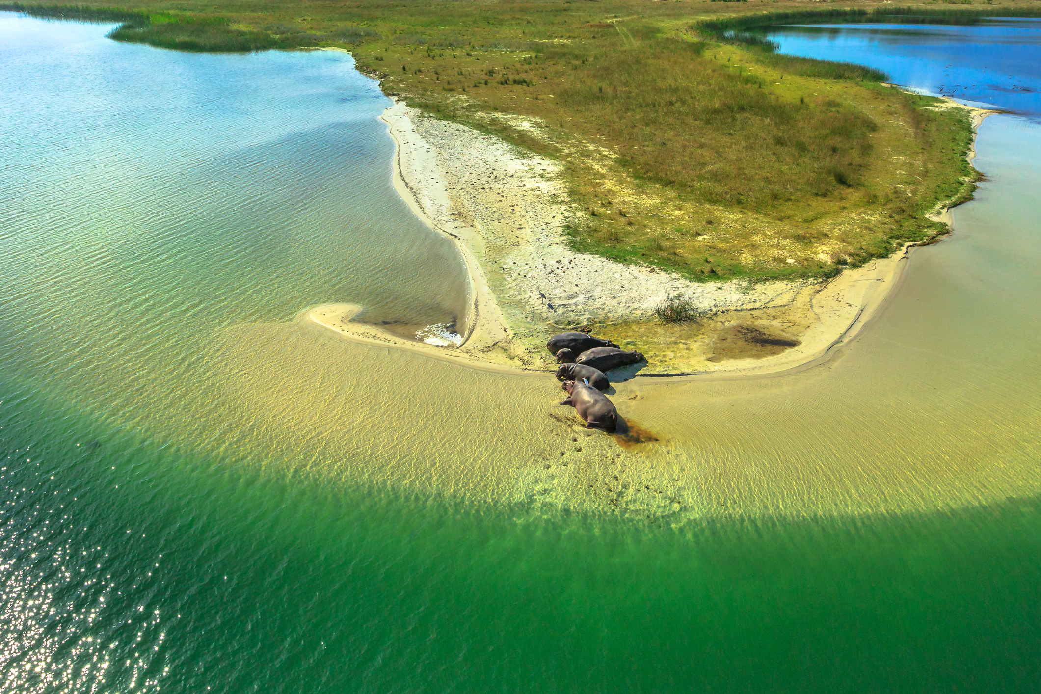 The Origins of the Name iSimangaliso