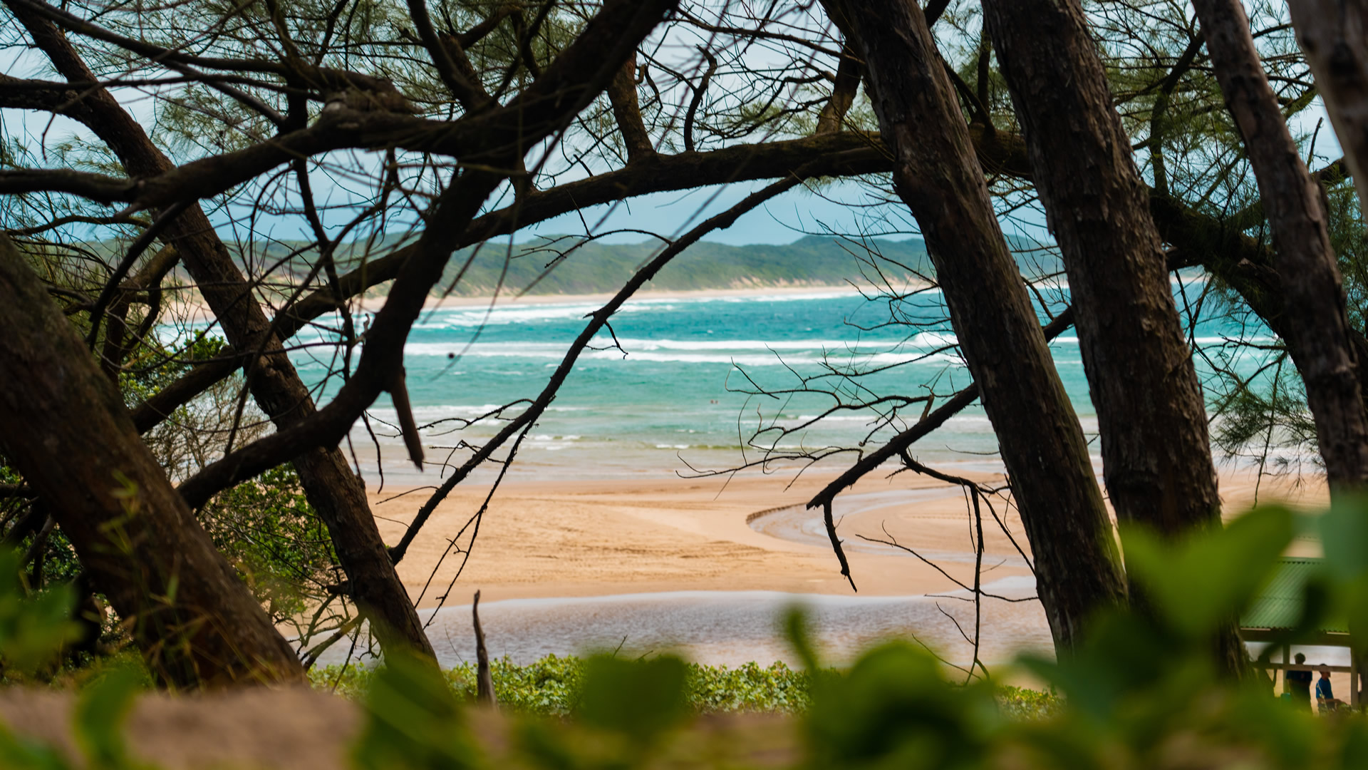Sodwana Bay