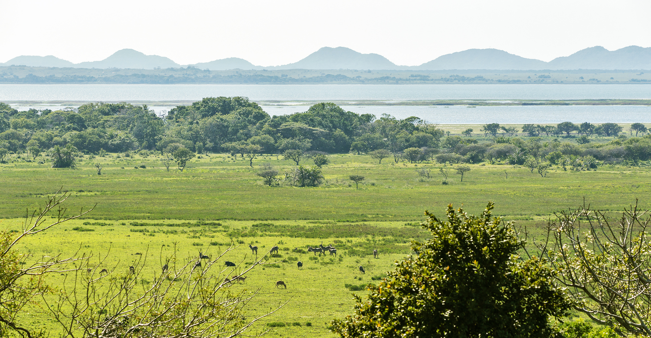 A Safari Experience to Remember Forever