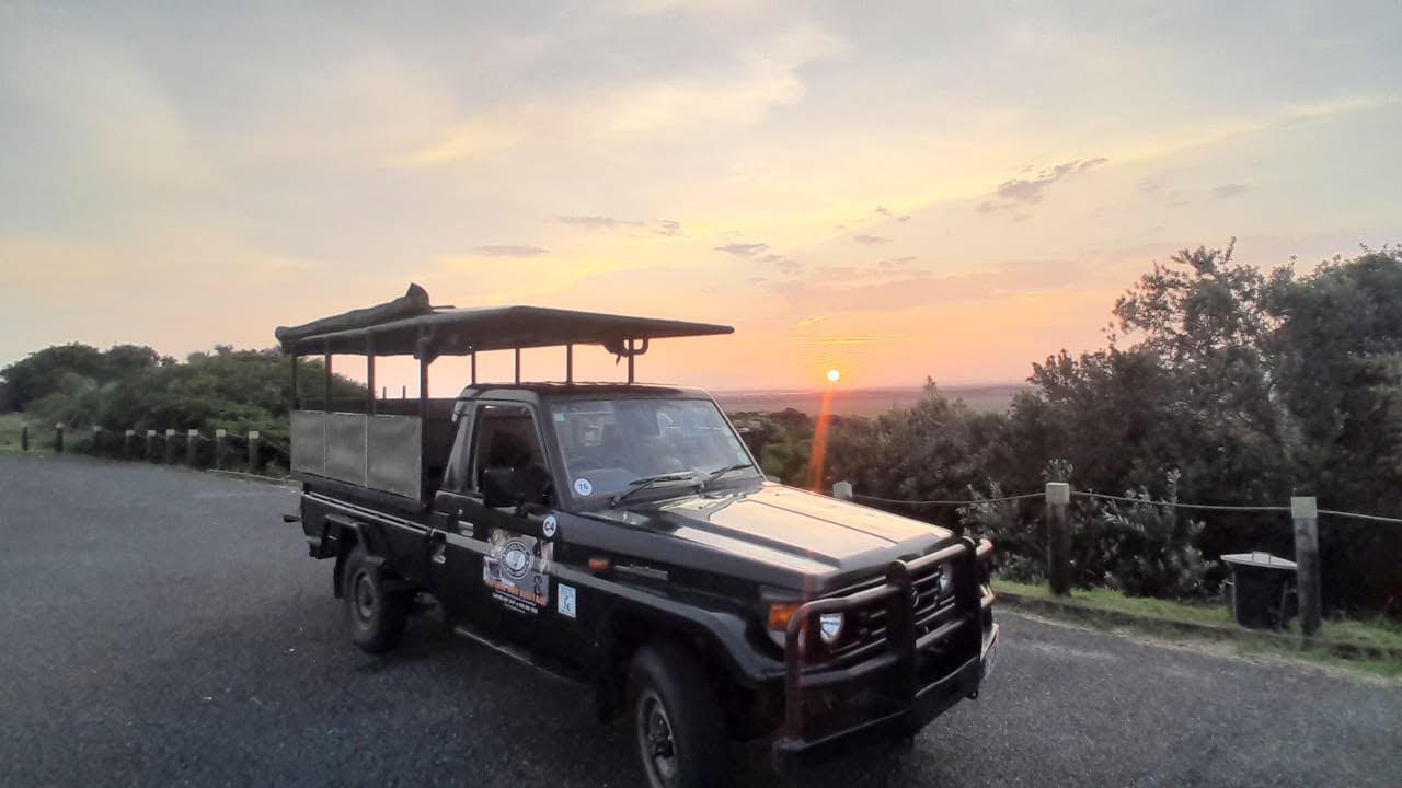 A Rare Coastal Safari Experience