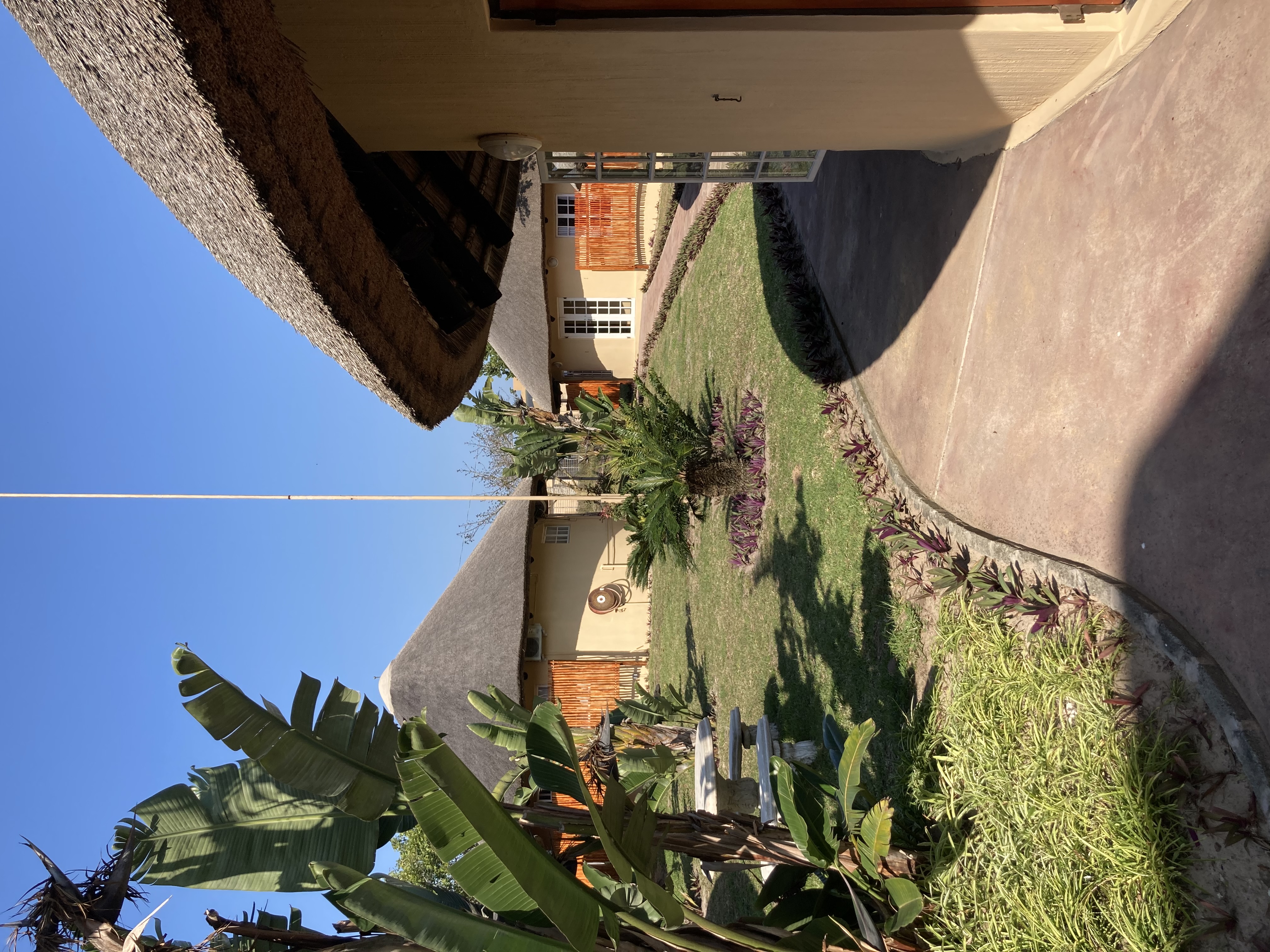 Area Image