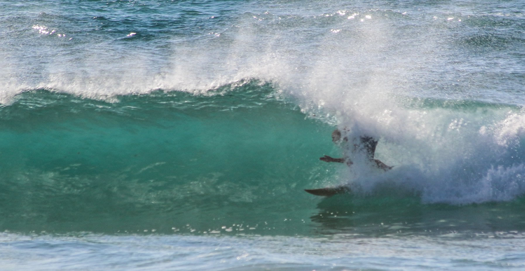 Safari and Surf