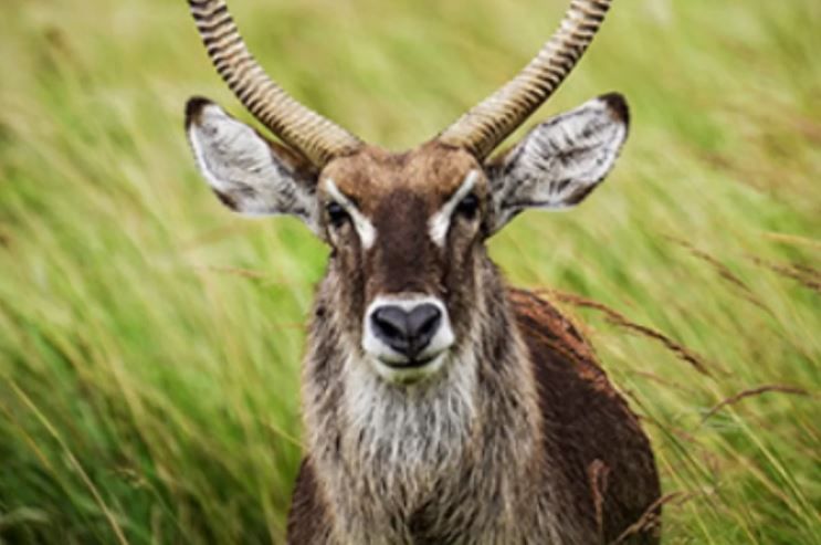 Twenty years on – Happy birthday iSimangaliso!