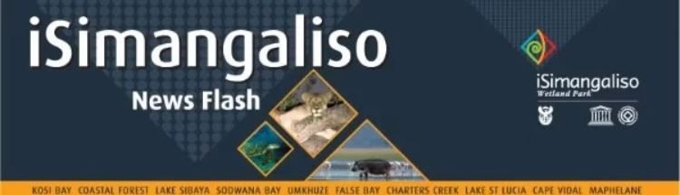 iSimangaliso sidale amathuba angamakhulu amathathu kwi-phrojekthi ebizwa ngokuthi yi-Cleaning and Greening.