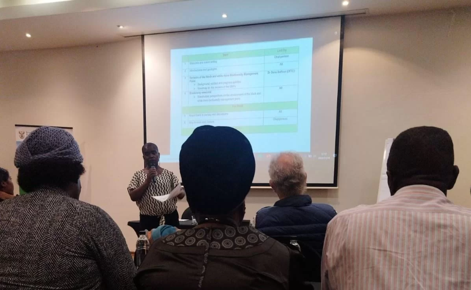 The revision of black and white rhino biodiversity management plans yield positive results