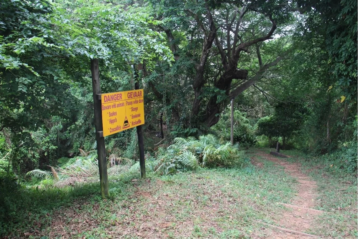 Hippo Incident in iSimangaliso Wetland Park Lake St Lucia