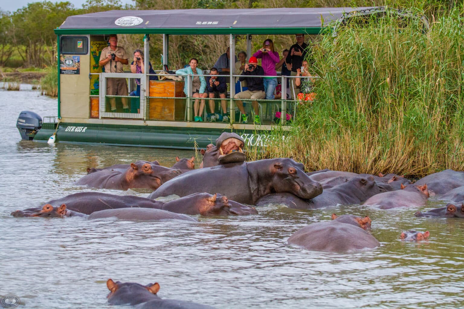 ISIMANGALISO WELCOMES THE SECOND NATURAL BREACHING OF THE LAKE ST. LUCIA ESTUARY
