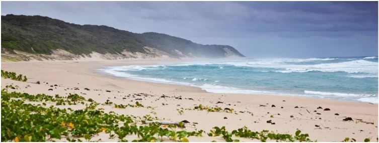 iSimangaliso’s Pronouncement on COVID-19