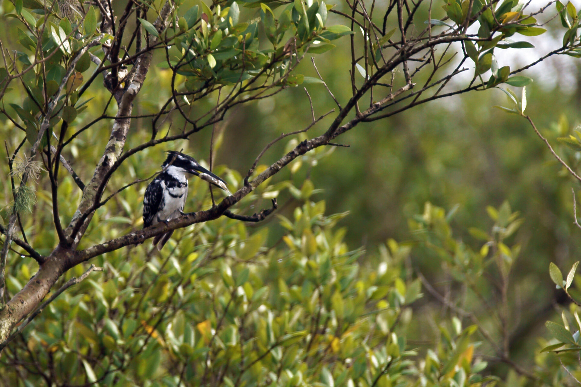 A Birder’s Paradise