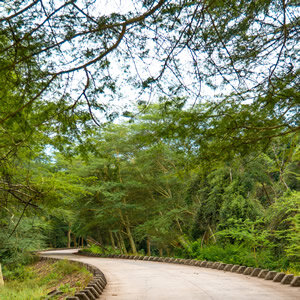 Walk to the Bats Cave – Mission Rocks, Eastern Shores