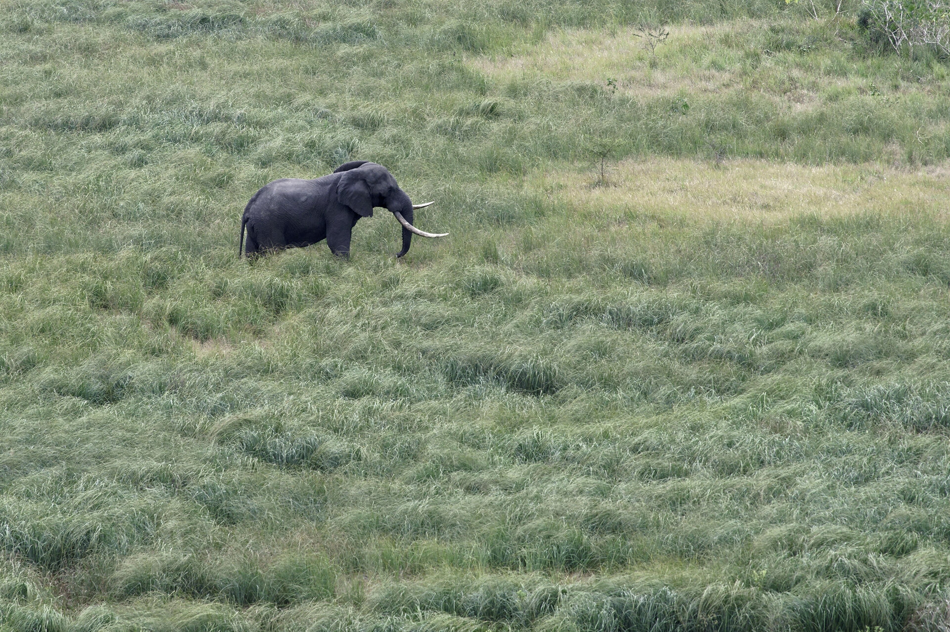 Mission Rocks – Rugged Beauty on the Shore