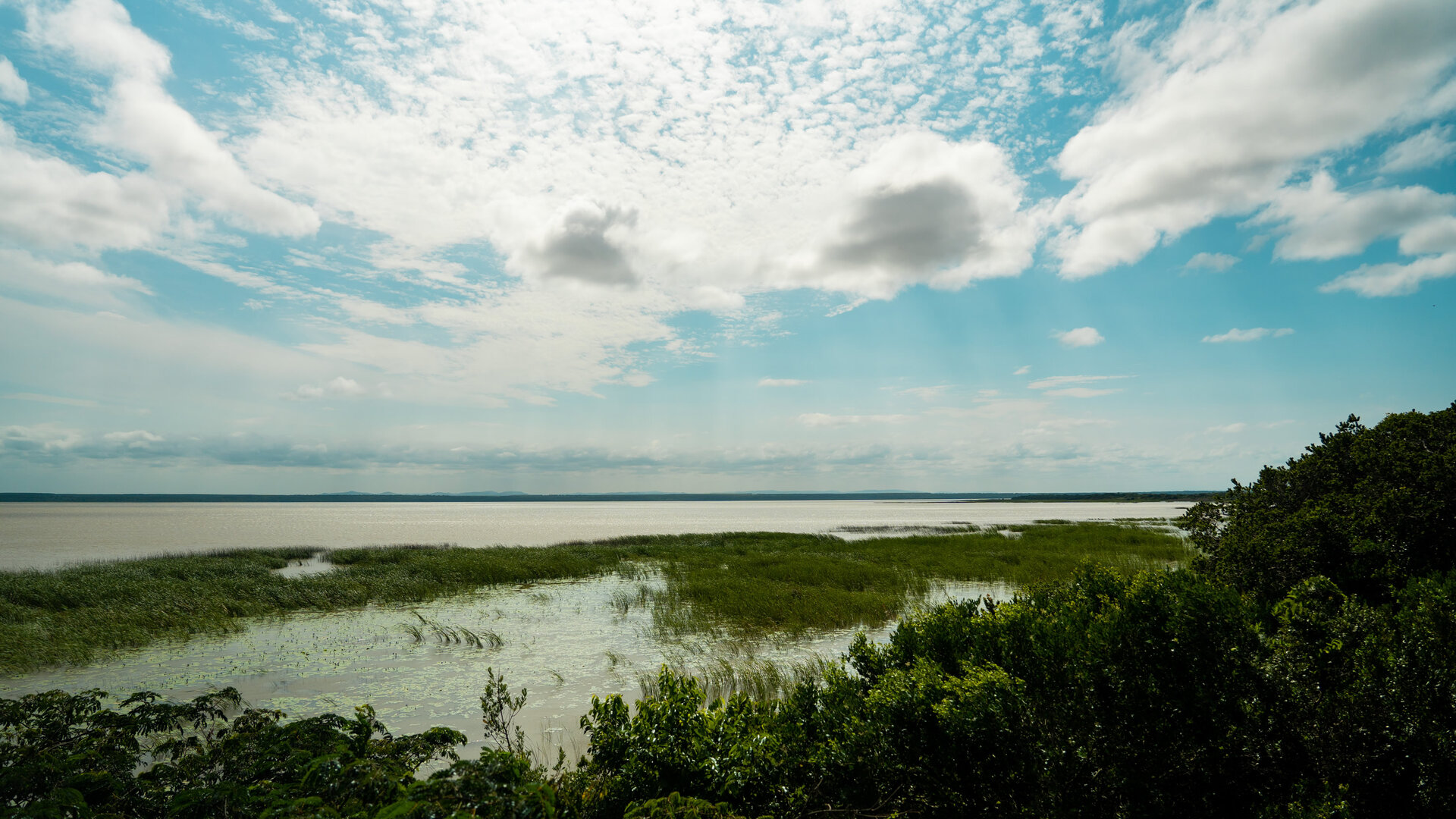 A <b>Nursery</b> for Fish